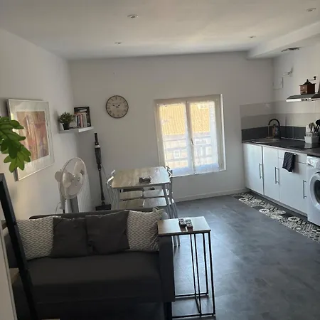 Foch 36 - Apartment *